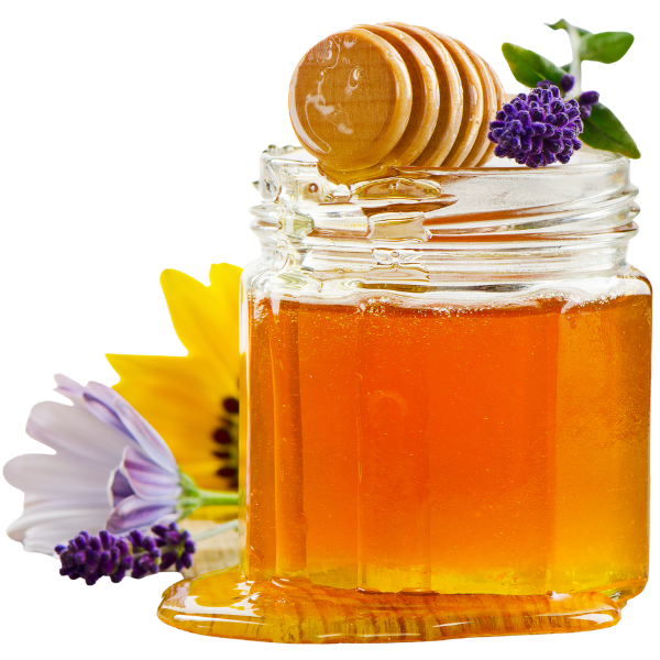 Wildflower Honey