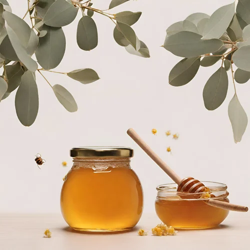 eucalyptus honey